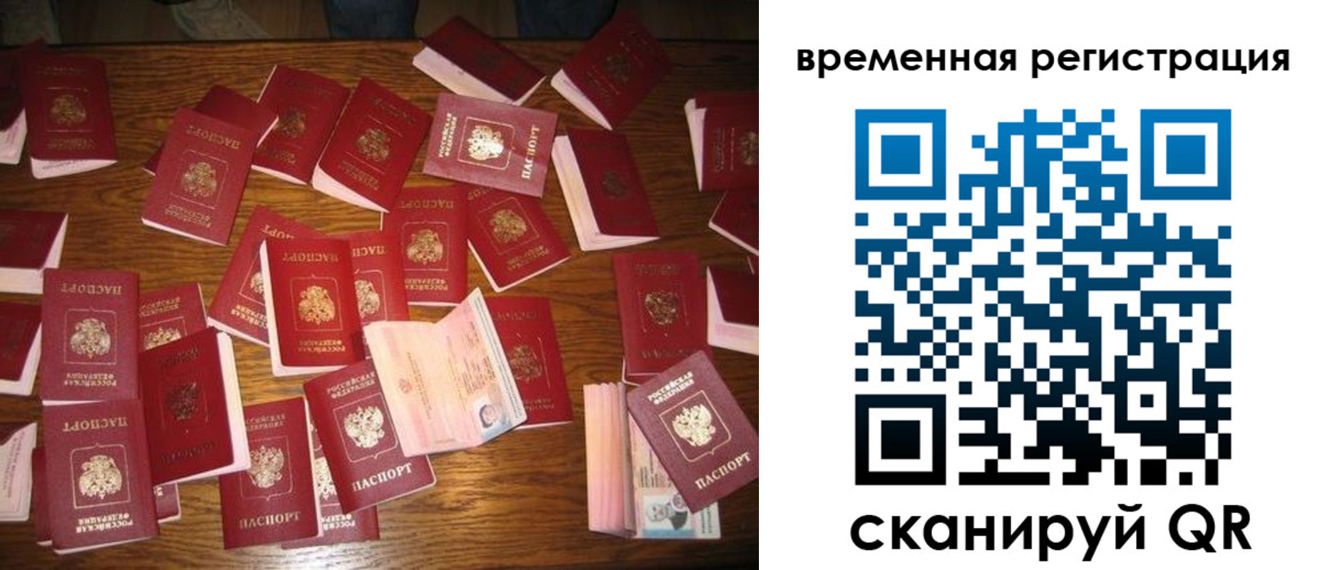 купить прописку в Волгоградской области